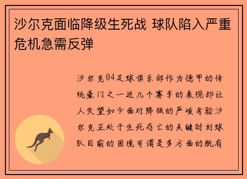 沙尔克面临降级生死战 球队陷入严重危机急需反弹