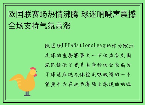 欧国联赛场热情沸腾 球迷呐喊声震撼全场支持气氛高涨