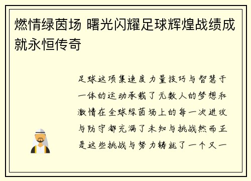 燃情绿茵场 曙光闪耀足球辉煌战绩成就永恒传奇