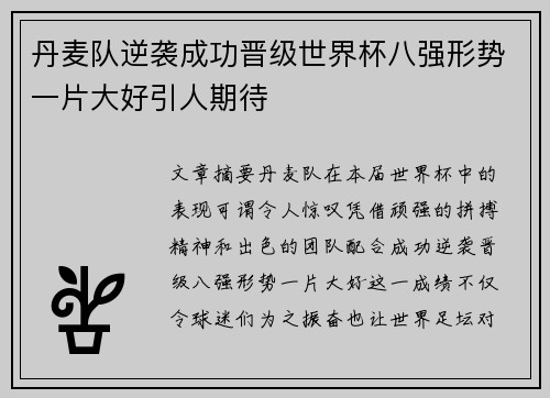 丹麦队逆袭成功晋级世界杯八强形势一片大好引人期待